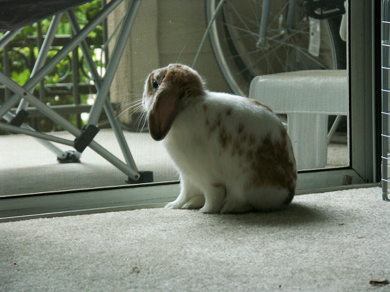 Checking out the great outdoors.  (4/2004)