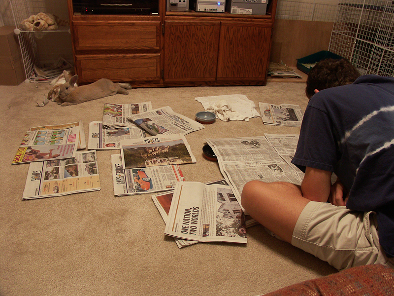 Reading the Sunday newspaper with the bunnies.  (12/2005)